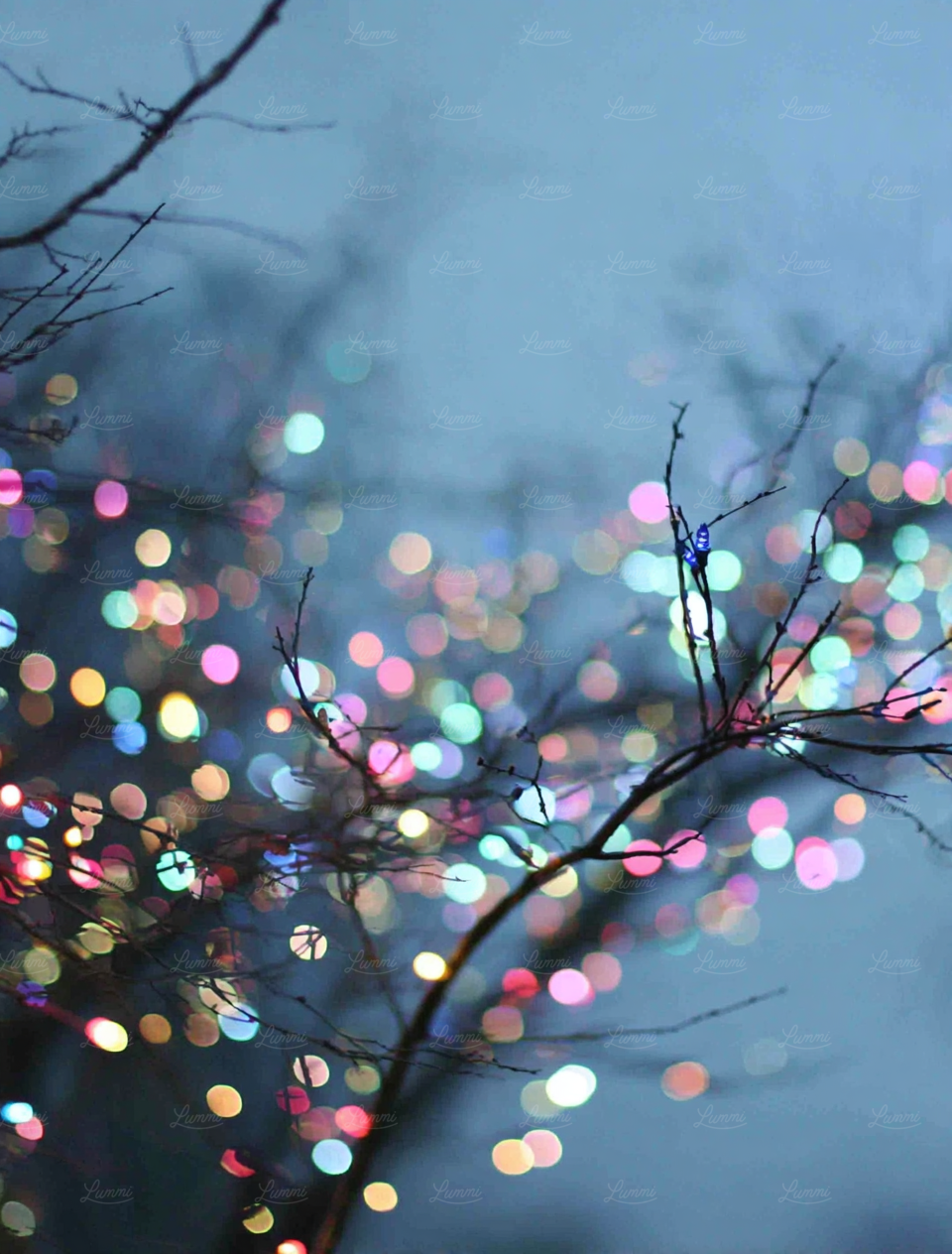 Bokeh Tree Lights